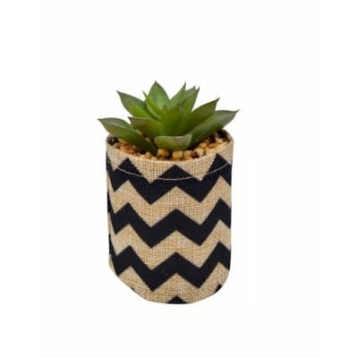 Succulent Jute Pot - Chevron