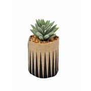 Succulent Jute Pot - Spikes