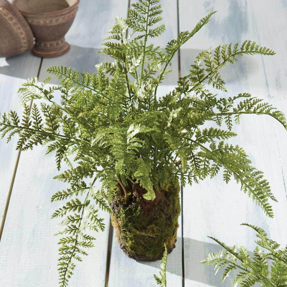Soft Fern Drop-In