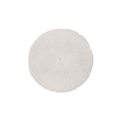 Sand Dollar - S