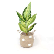 Bomba - Seagrass Basket With White Pompoms