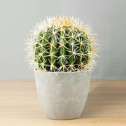 Coco Artificial Cactus Potted Plant 11"
