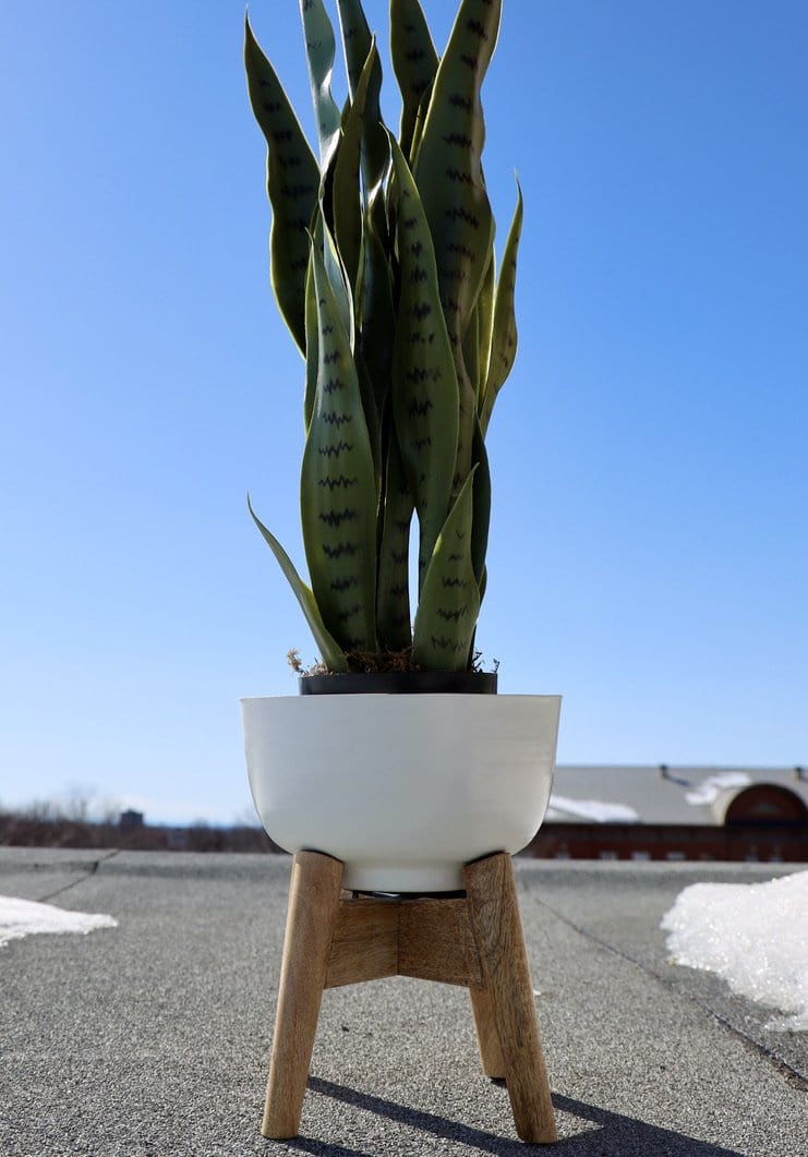 Sita - Mid-Century Turned Wood Leg Planter White (Multiple Sizes)