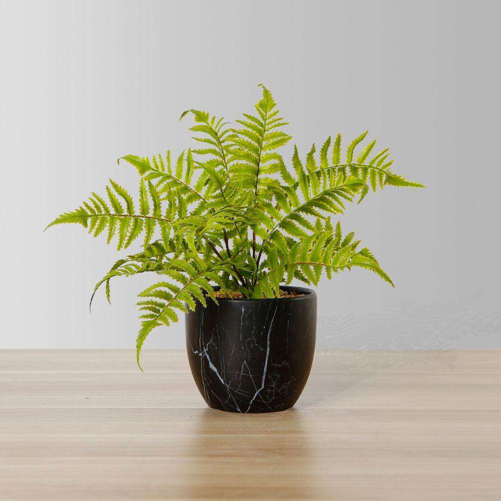 Dasa Potted Faux Fern