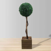 Ely Faux Potted Boxwood Topiary Plant 3'