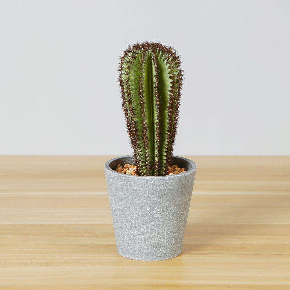 Goza Artificial Cactus Tree Potted Plant 9"