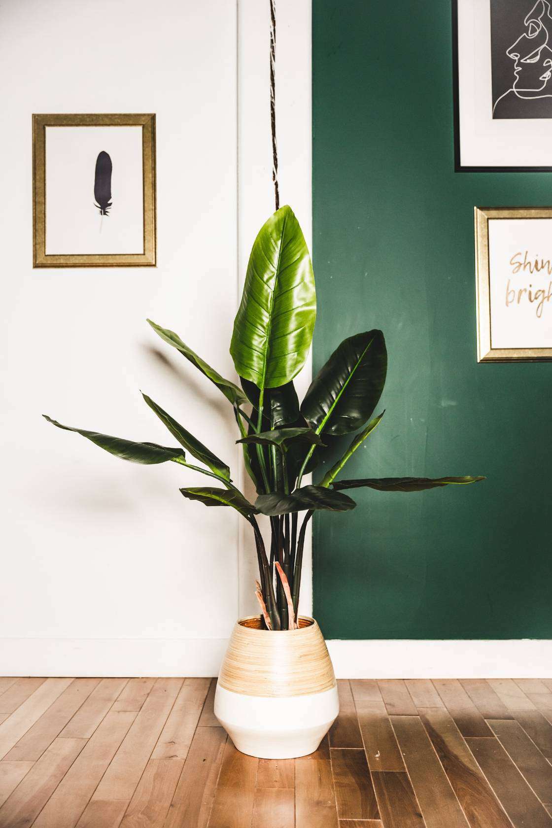 Javi Artificial Spathiphyllum Leaf Potted Plant 51"