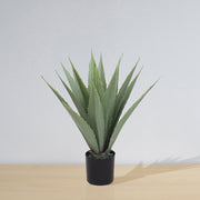 Tunja Artificial Century Potted Plant (Multiple Sizes)