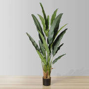 Kola Artificial Travellers Palm Tree Potted Plant (Multiple Sizes)