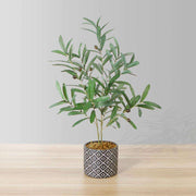 Madero Potted Faux Olive Plant