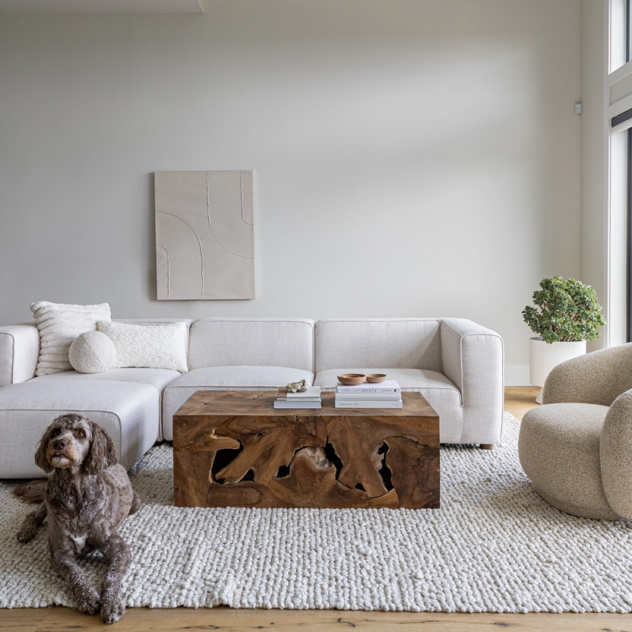 Natura Flow Coffee Table