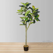 Nero Artificial Rubber Potted Plant 5'
