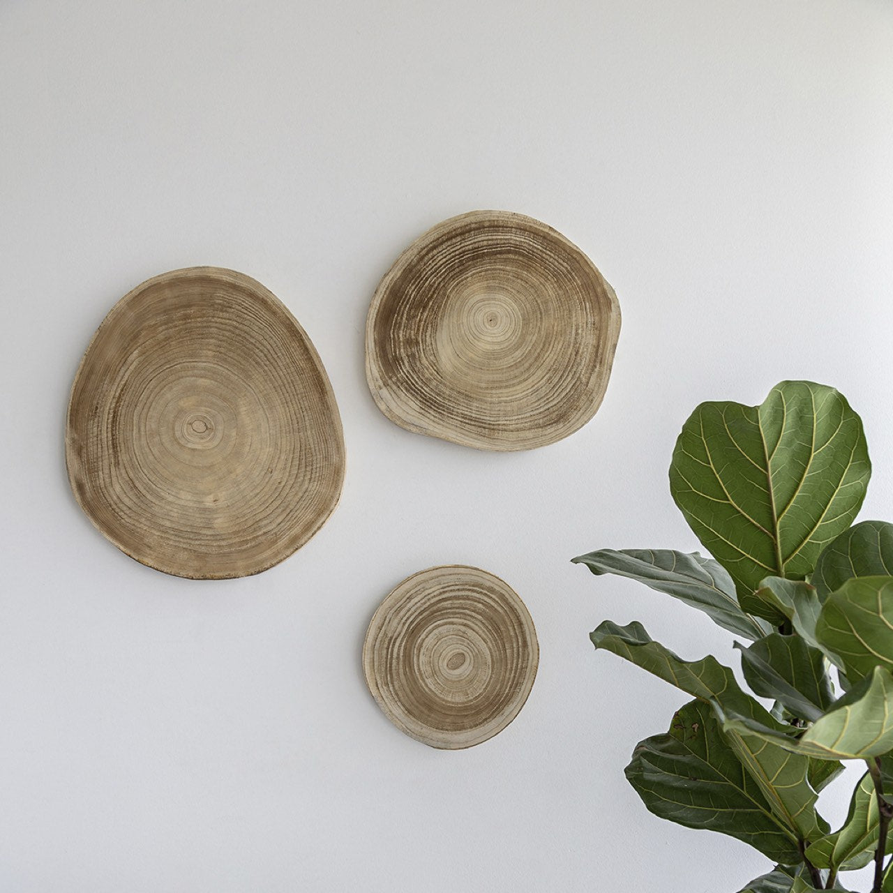 Nova Slice (Set of 3)
