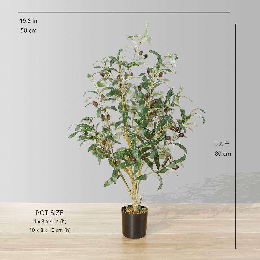 Oli Artificial Olive Tree Potted Plant (Multiple Sizes)