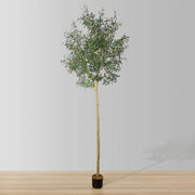 Olidia Artificial Olive Tree 10'