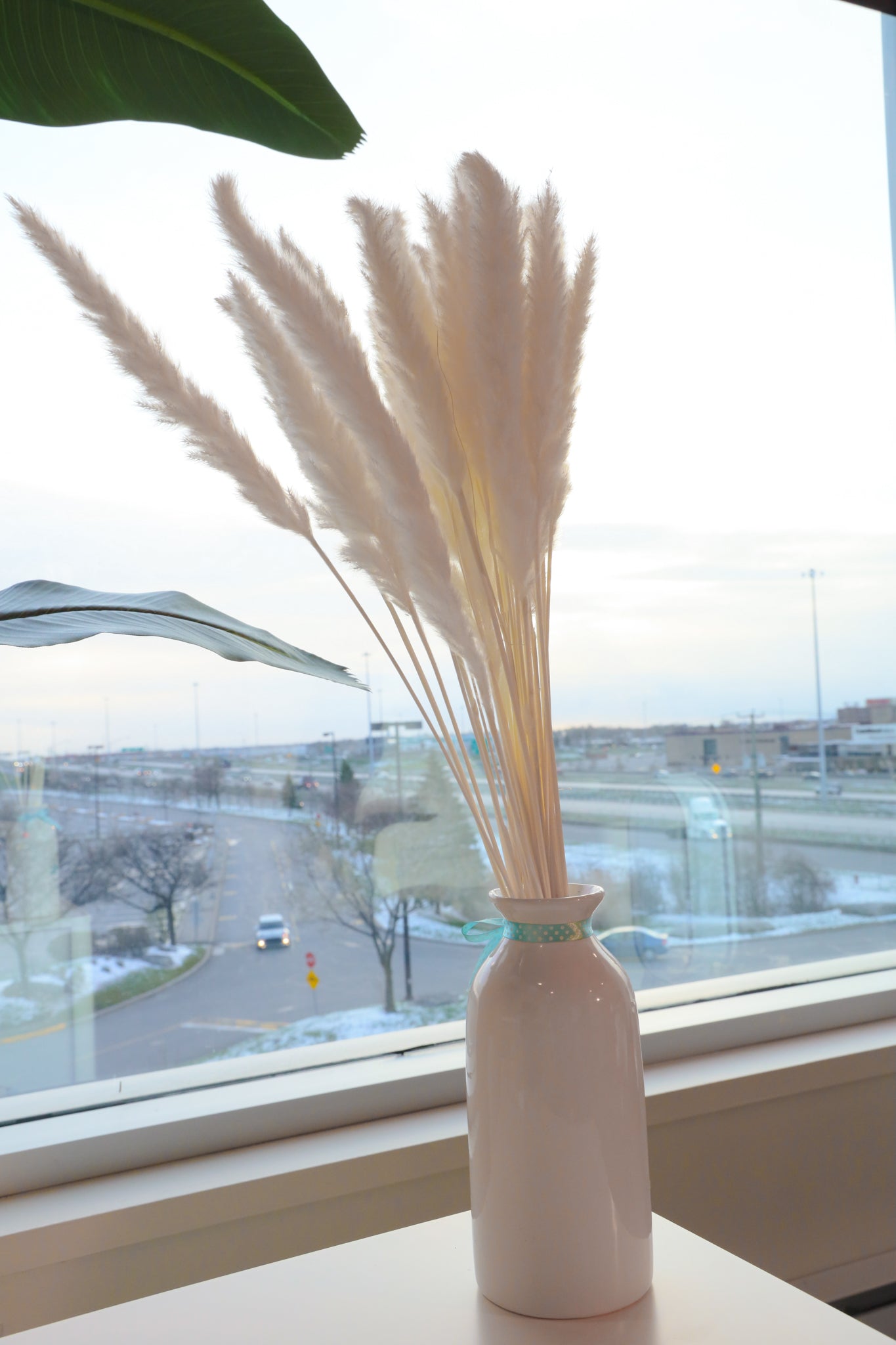 Beige Pampas Bouquet 26'' (Set Of 30)