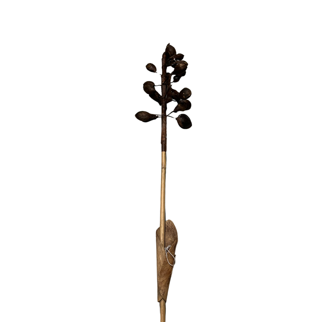 Dried Talisay Tree Branch