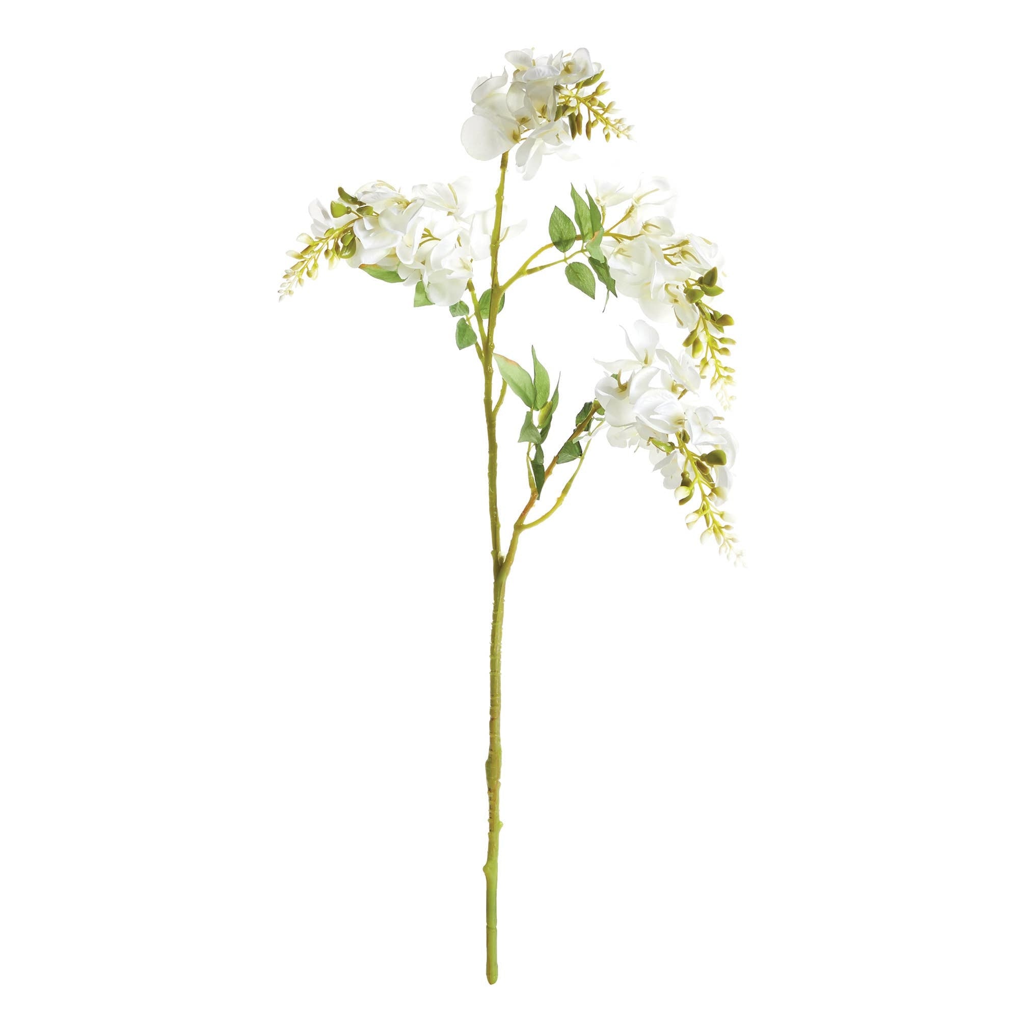 Wisteria Stem 23.5"