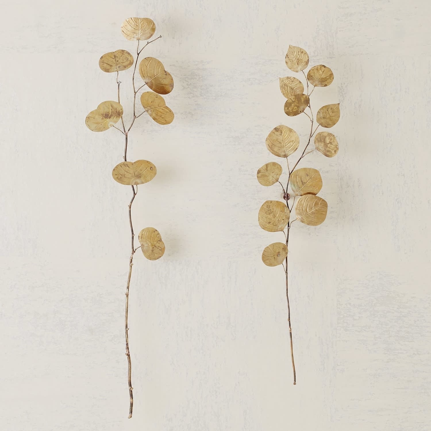 Eucalyptus Wall Decor - Antique Brass - Large