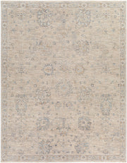 Avant Garde Machine Woven Rug AVT-2307