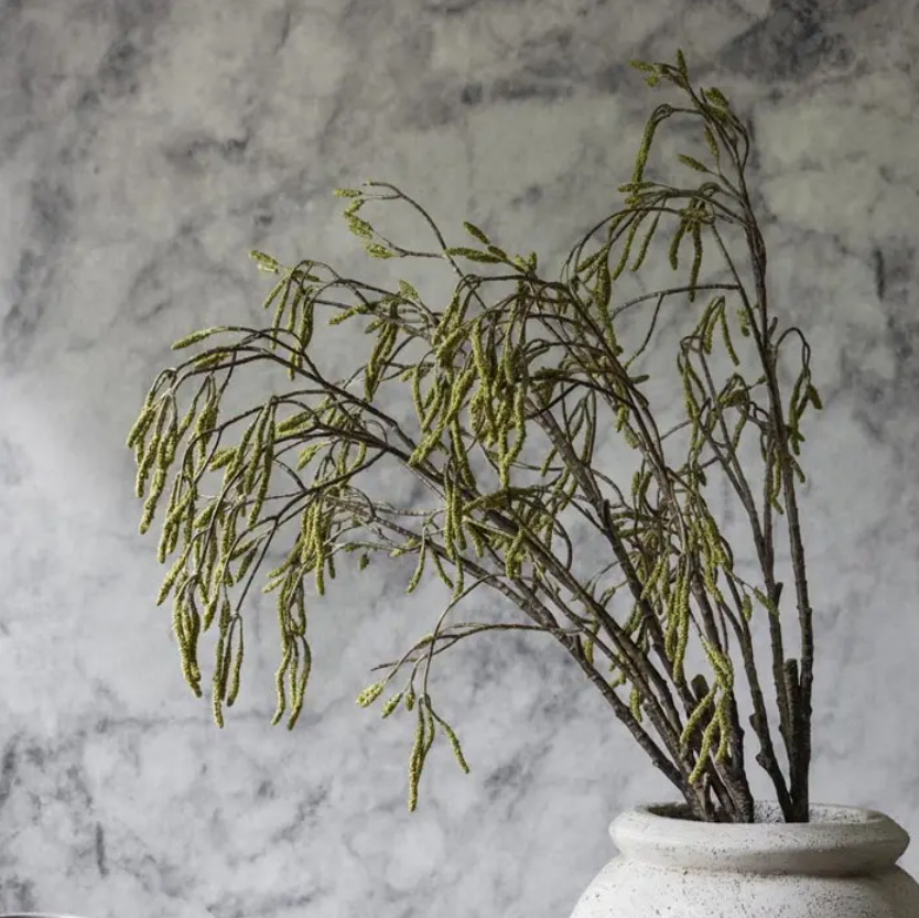 Catkin Branch Green Stem