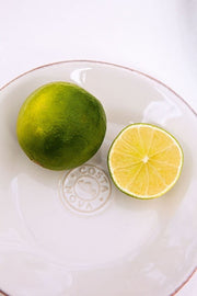Costa Nova Bread/Appetizer Plate - White
