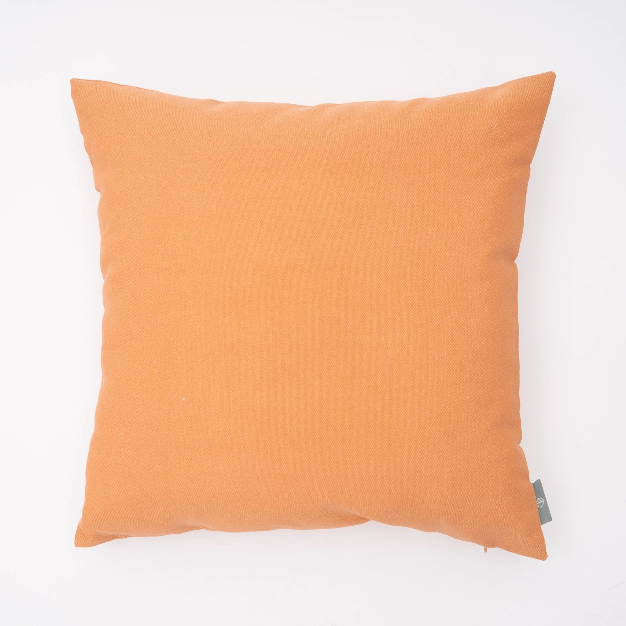Outdoor Pillow  - Toasted Nut