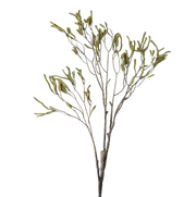 Catkin Branch Green Stem