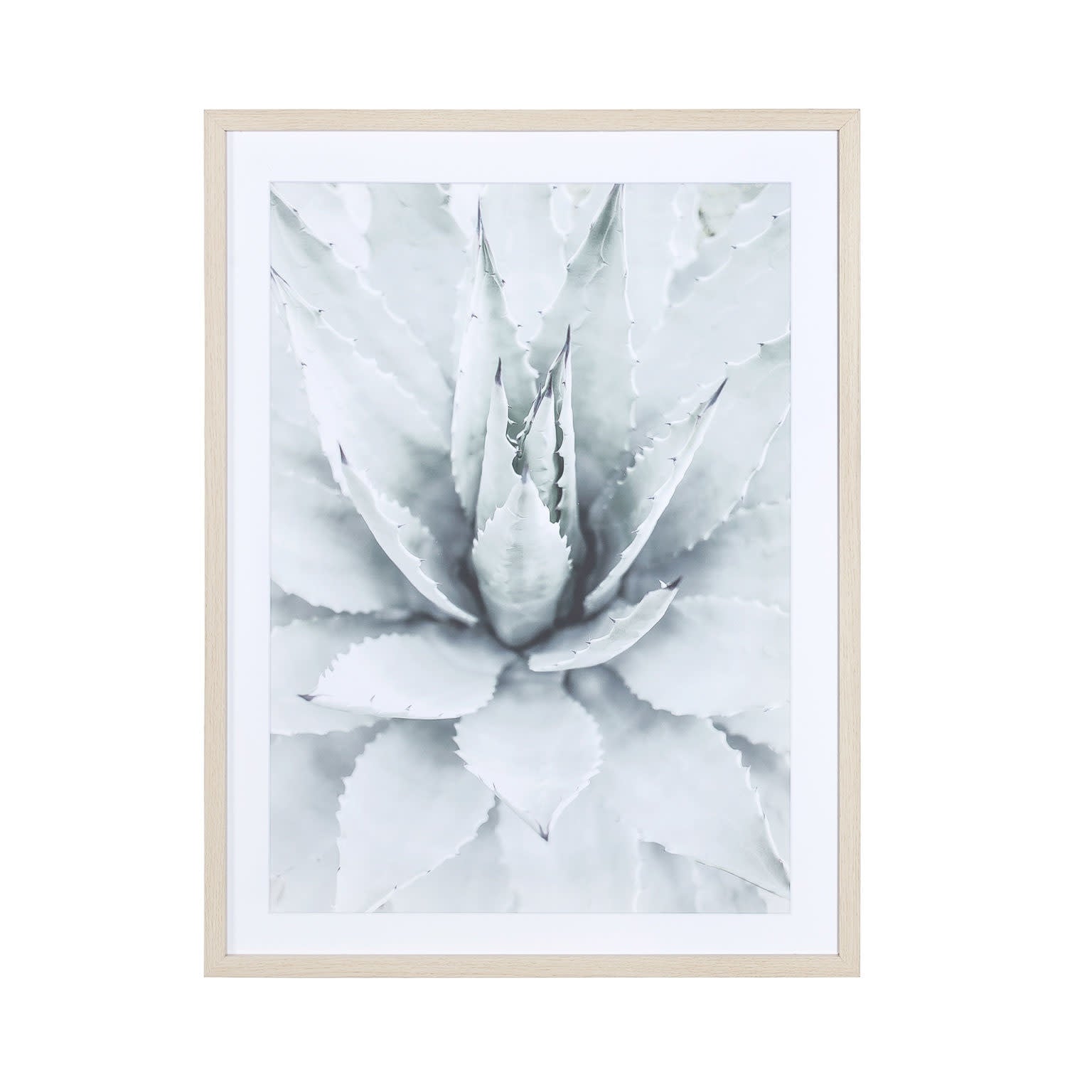 Glass With Wood Frame Wall Decor Bloom A