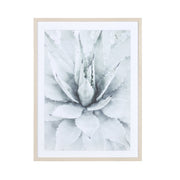 Glass With Wood Frame Wall Decor Bloom A