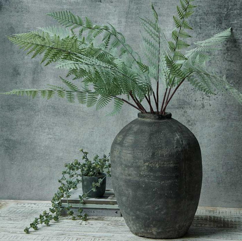 Green Fern Stem