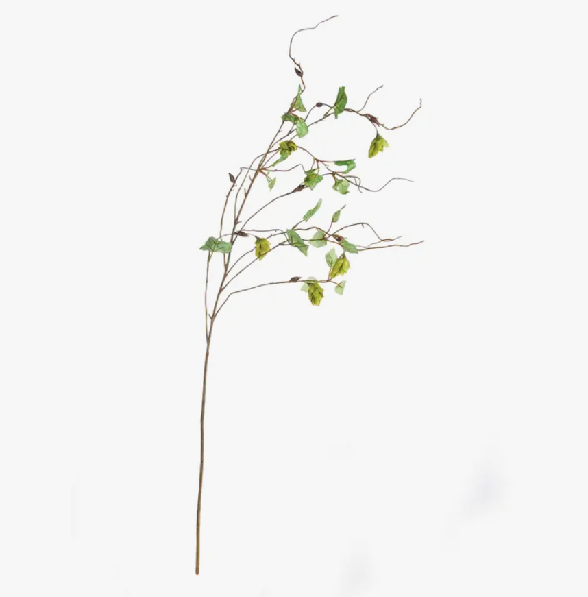Hops Branch