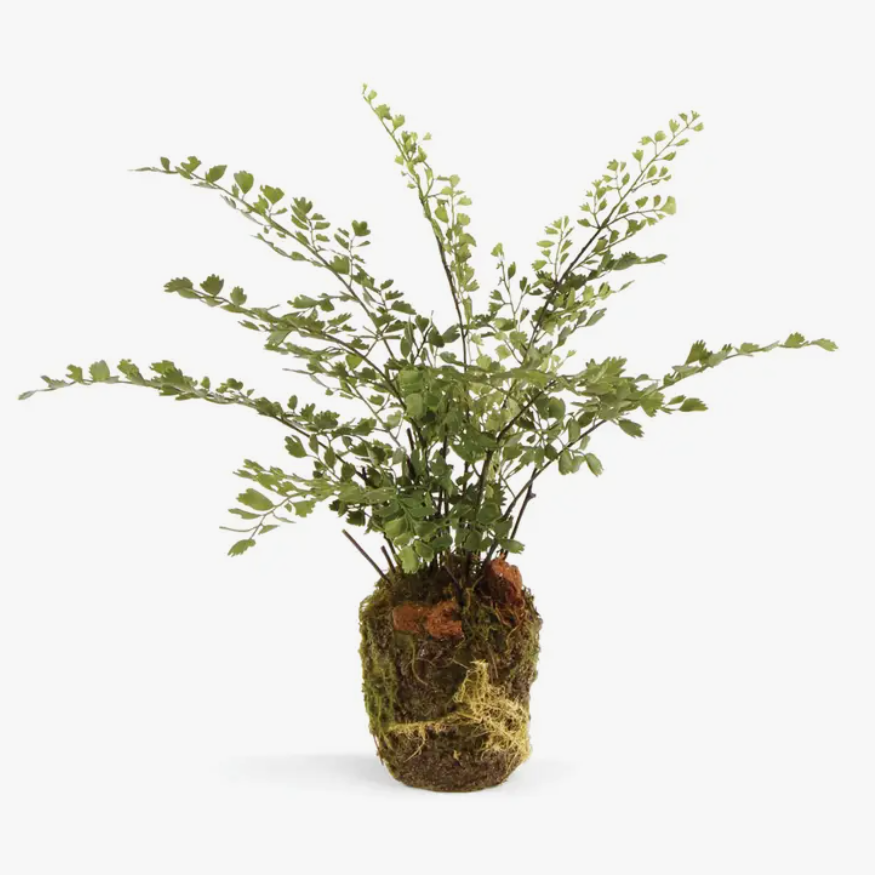Maidenhair Drop-In - Large