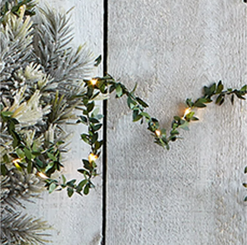 Mistletoe LED String Lights