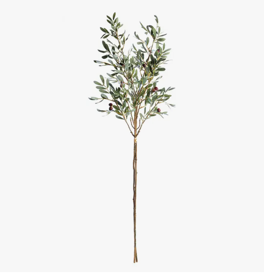 Olive Branch - Large