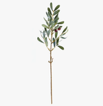 Olive Branch - Small