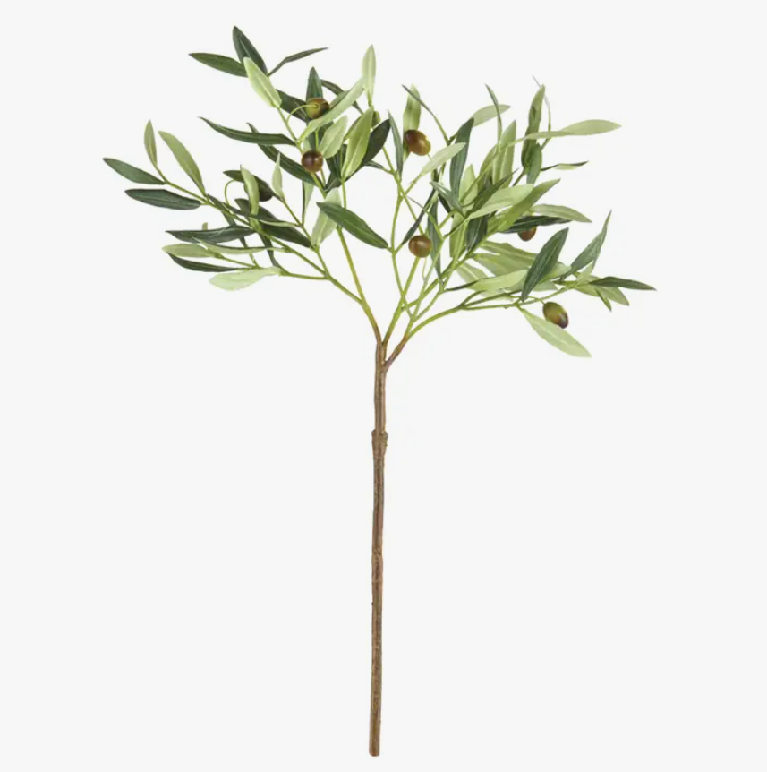 Olive Branch - Medium