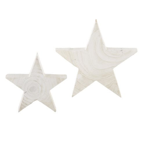 Paulownia White Star - Small