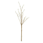 Pussywillow Stem
