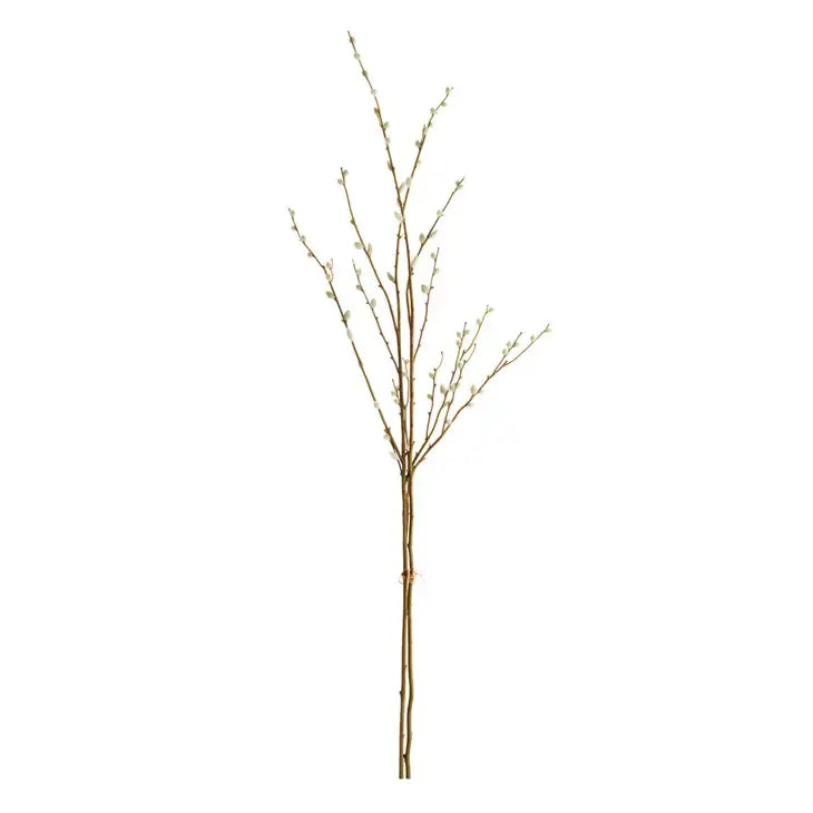 Pussywillow Stem