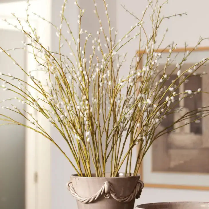 Pussywillow Stem