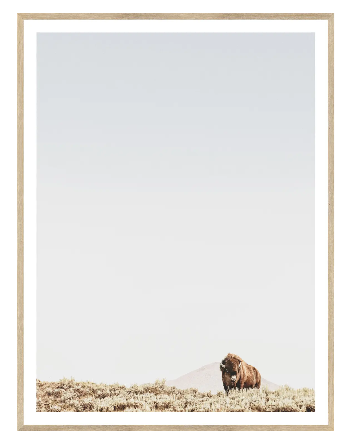 Sage Ridge, Buffalo - Medium