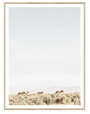 Sage Ridge, Horses - Medium
