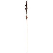 Dried Talisay Tree Branch