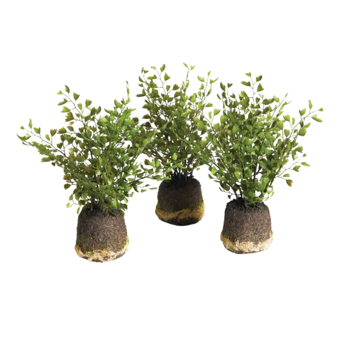 Maidenhair Drop-In - Medium