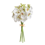 Phalaenopsis Orchid Stem 11.5"